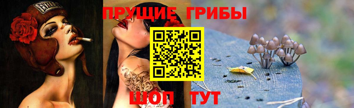 Галлюциногенные грибы Psilocybe  Вход с VPN  Когалым 